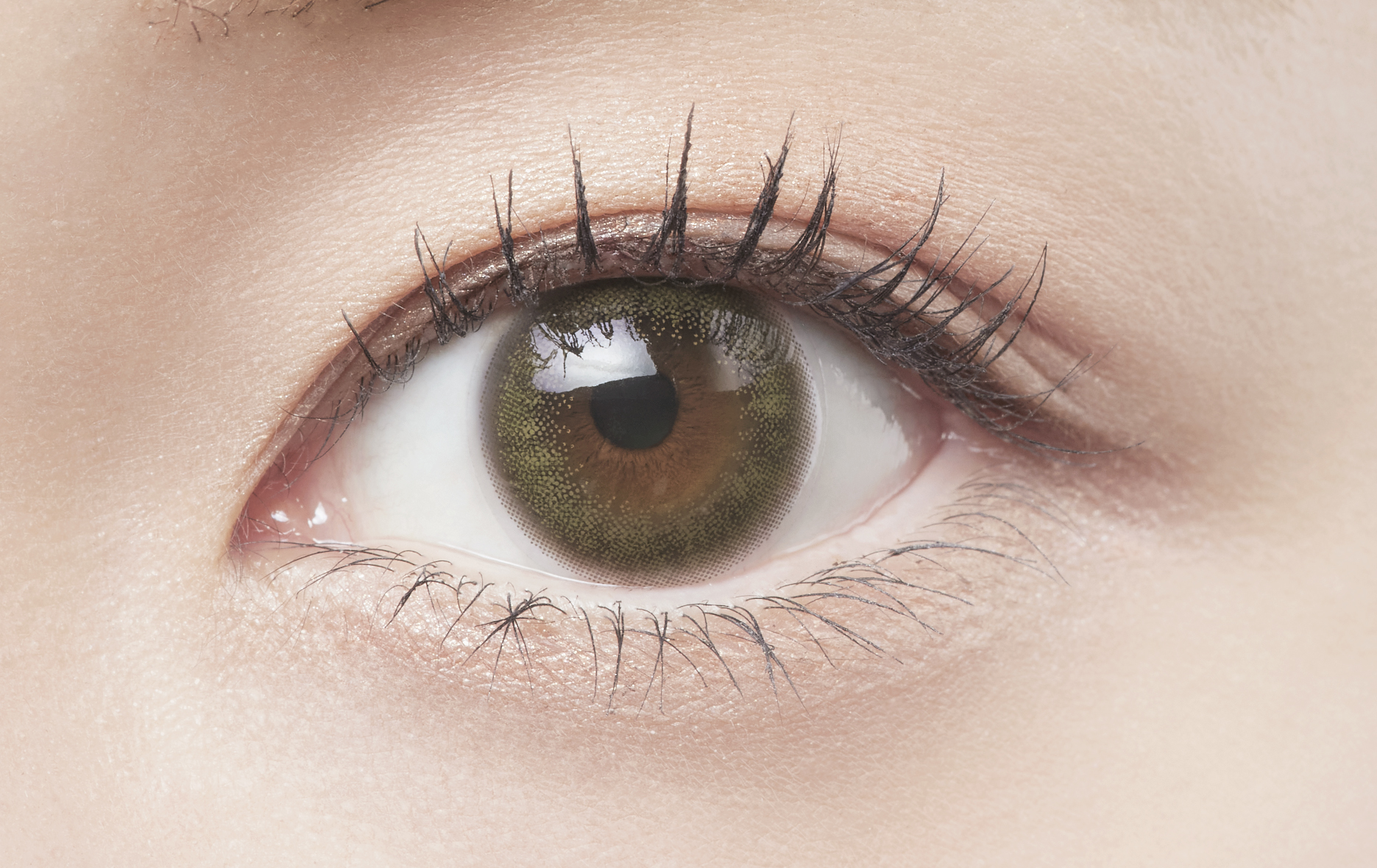 Belleme Olive Brown eye contact lens contact lens