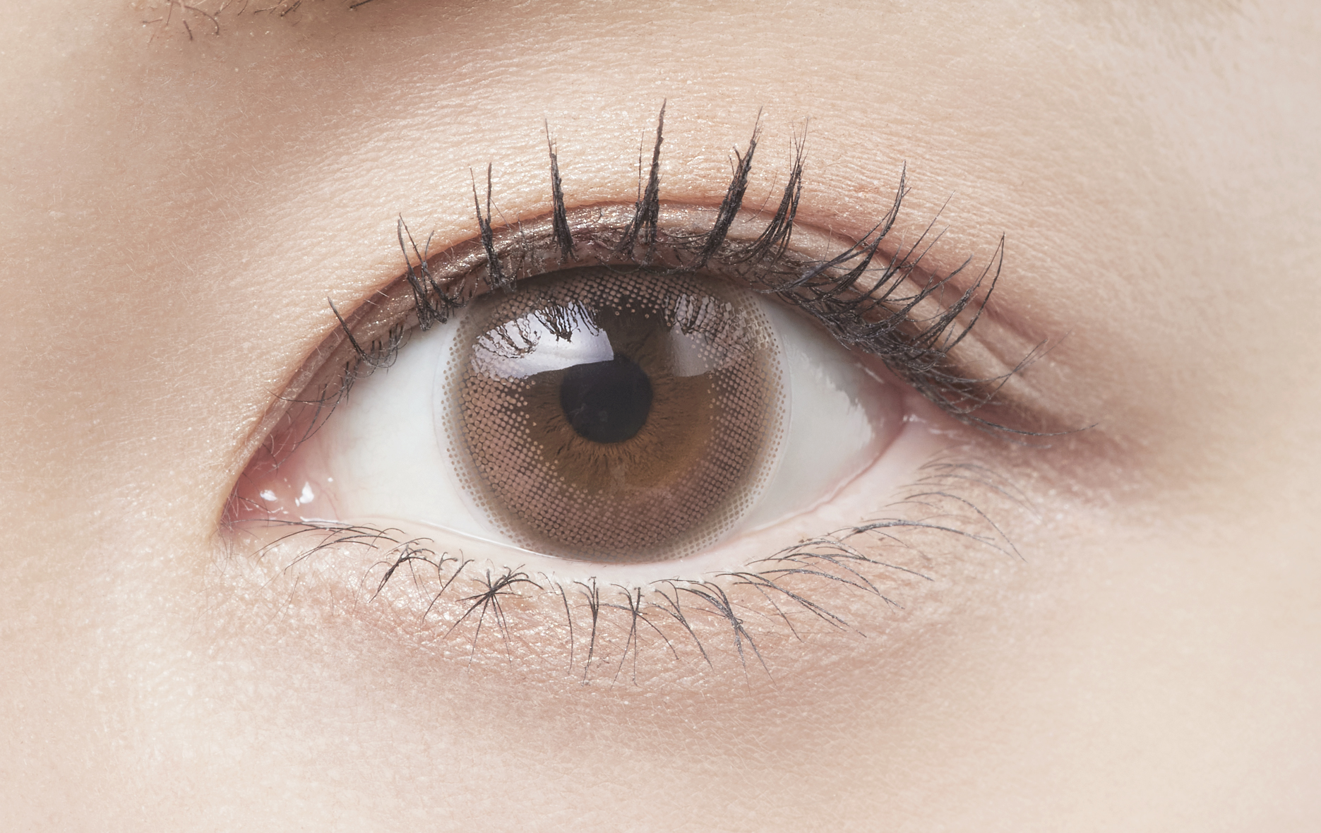 Belleme Peach Brown on eye contact lens contact lens